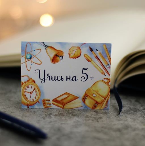 Бирка Р0065 "Учись на 5+" фото 1 — волшебные-ручки.рф