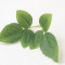 Лист розы (6 листов) зеленый с прожилками длина 20 см 25 шт
