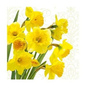 Салфетка бумажная 33*33 см (3 слоя) Yellow Daffodils фото 1 — волшебные-ручки.рф